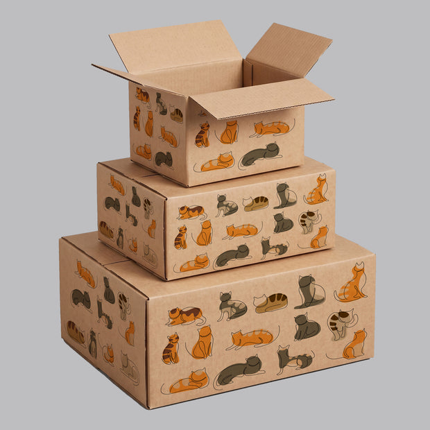 Animal Cat Illustrations Printed Theme Shipping Box - 1 Pack (25 Pieces)