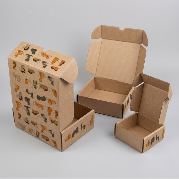 Animal Cat Illustrations  Printed Theme Mailer Box - 1 Pack (25 Pieces)