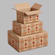 Diwali Diya & Peacock Repeat Pattern Printed Theme Shipping Box - 1 Pack (25 Pieces)