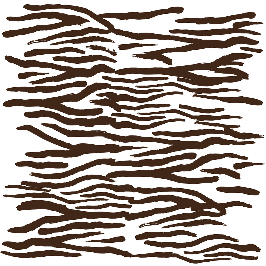 Animal Zebra Stripes Printed Theme Mailer Box - 1 Pack (25 Pieces)